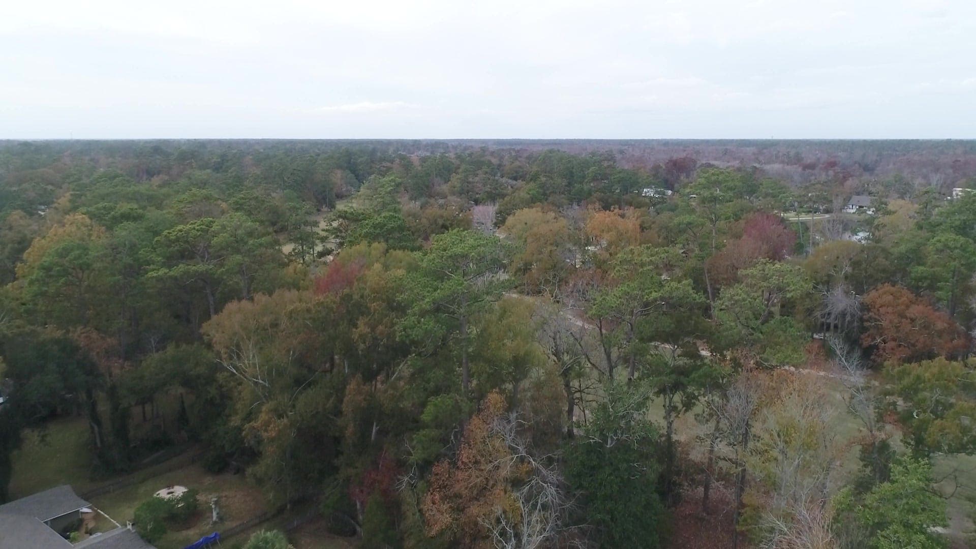 Mixed pine and hardwood canopy over the streets of Beau Chêne from the air.
